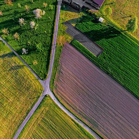 aerial view of green grass field